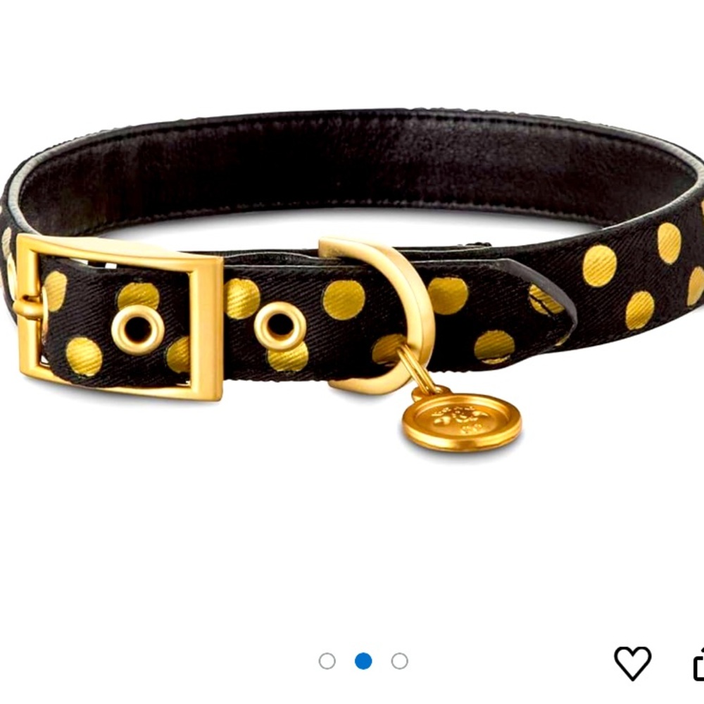 Bond & Co NWT Black and Gold Dog Collar with Polka Dot Design L/XL Pet Lovers